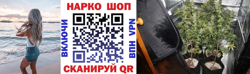 Наркотические вещества Беслан Галлюциногенные грибы Alpha-PVP АМФ Меф Гашиш ГЕРОИН Кокаин