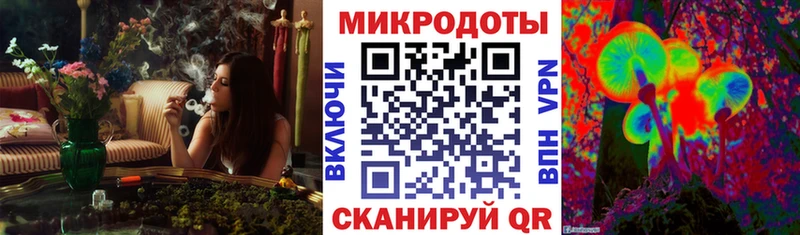 где продают   Беслан  Галлюциногенные грибы Psilocybe 
