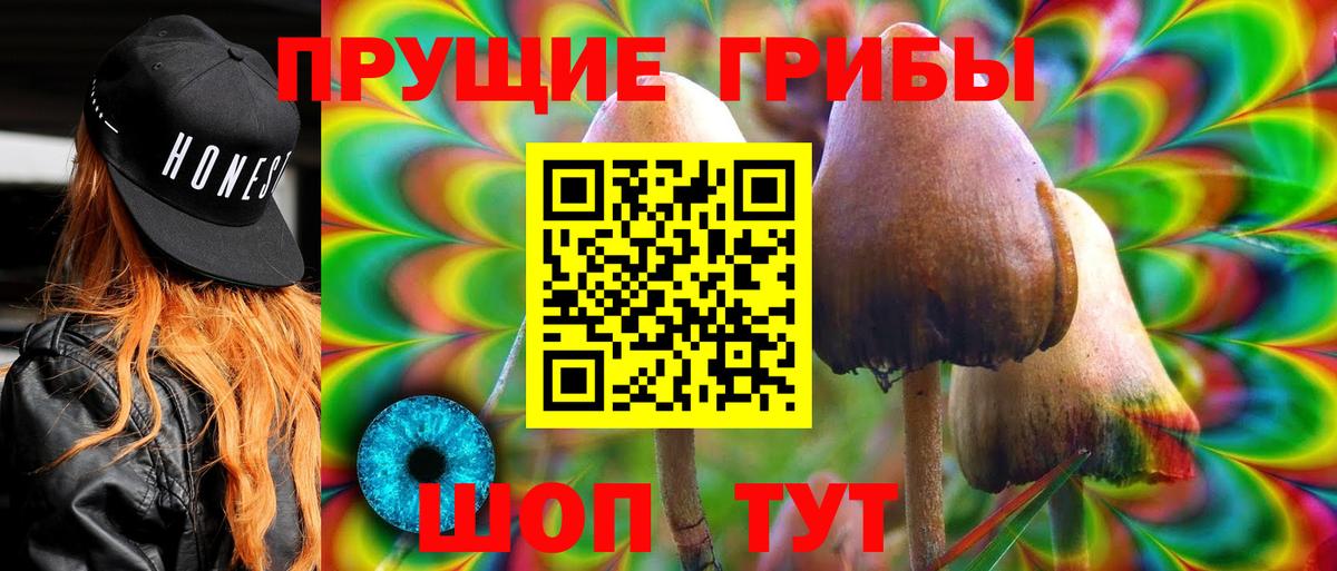 Беслан  Псилоцибиновые грибы прущие грибы  Псилоцибиновые грибы Cubensis  Вход с VPN 