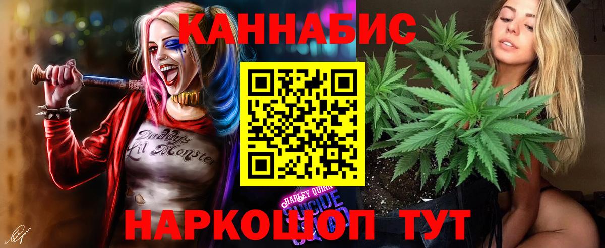 Марихуана план  Бошки марихуана сатива  Вход с VPN  Беслан  Бошки марихуана Bruce Banner 